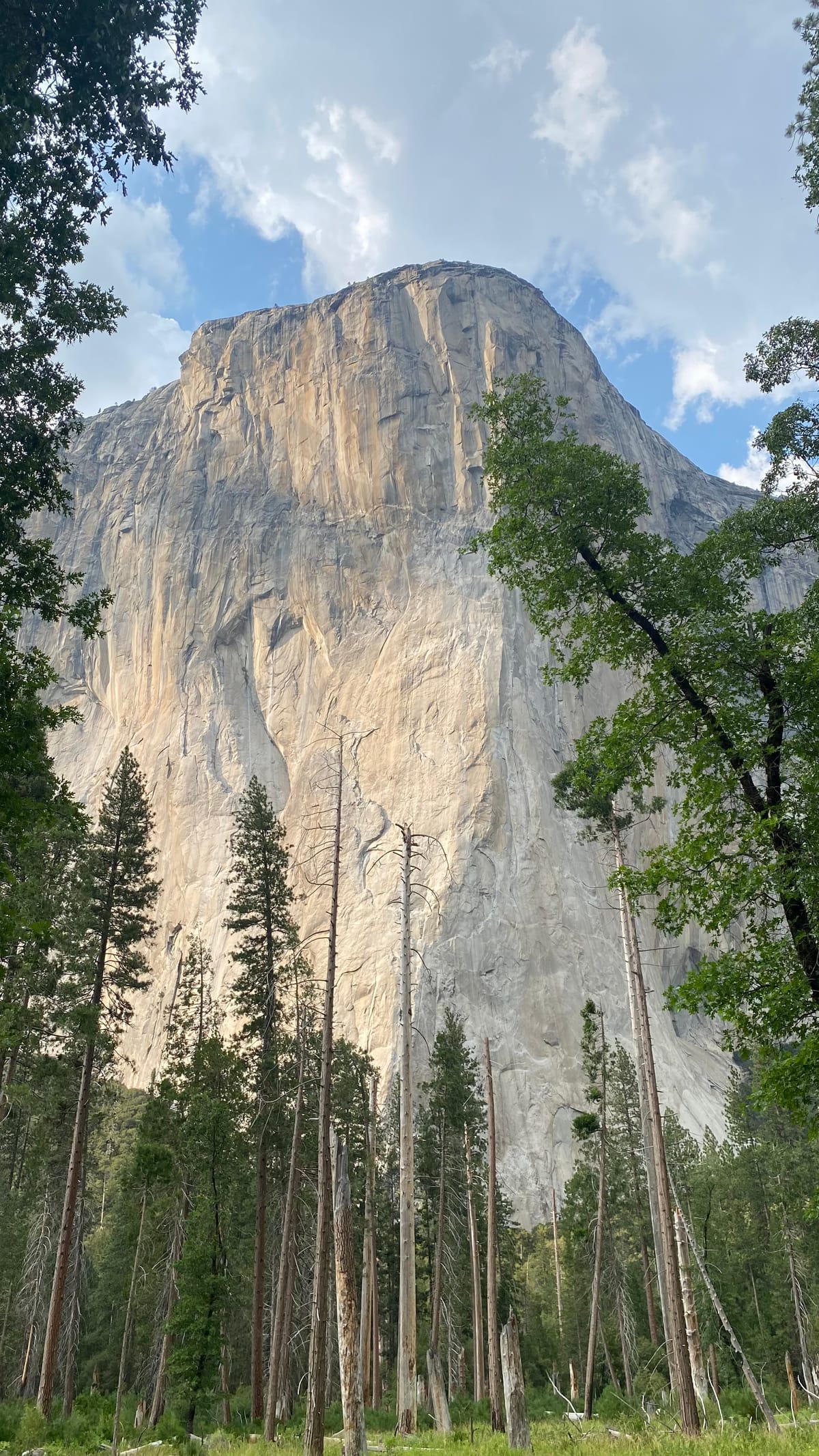 Escombros de desayuno