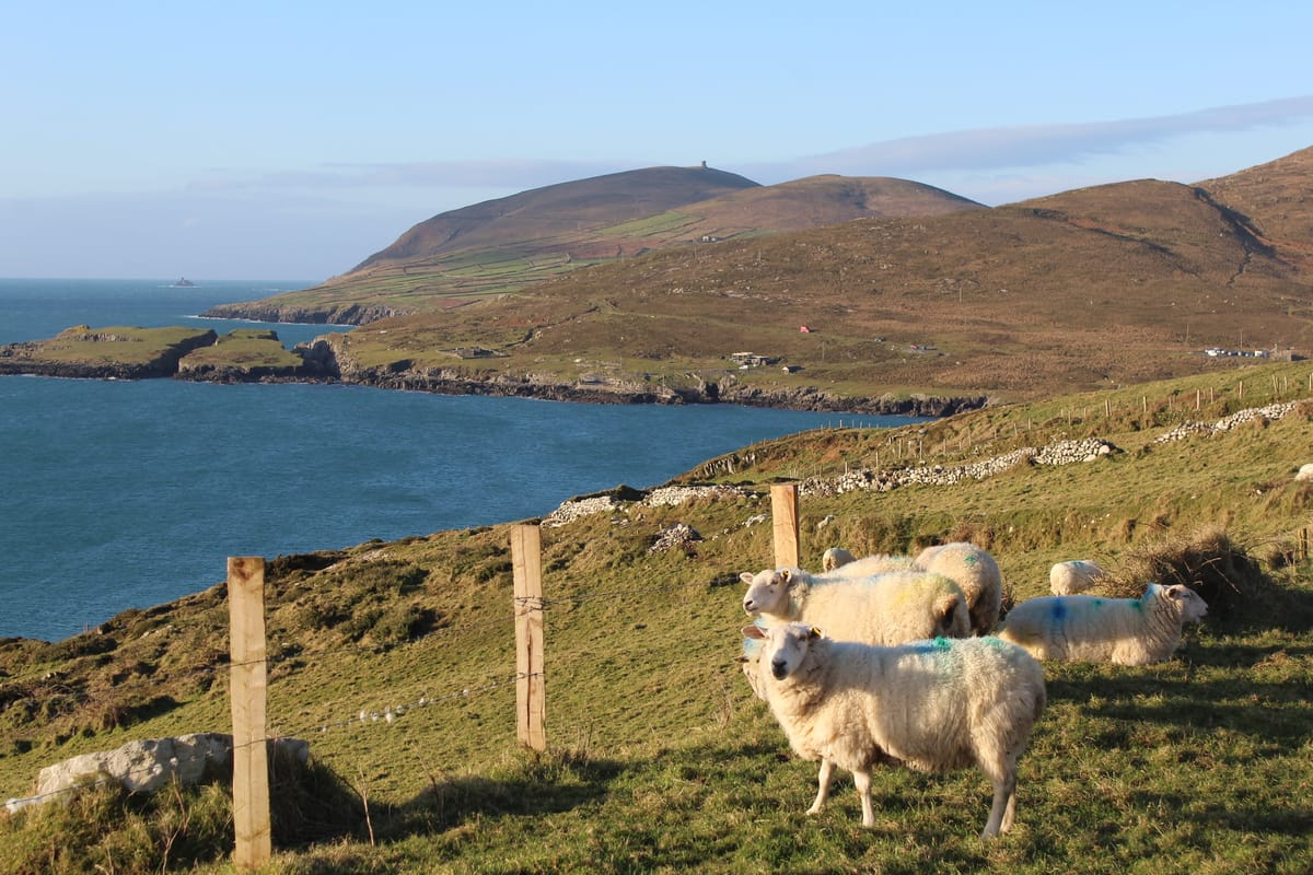 2:25am ET / 1:25am CT